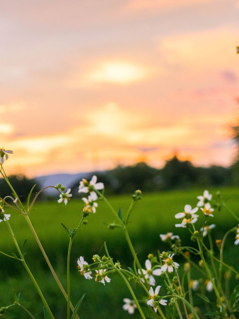 Ideal Verein Alltagsengel